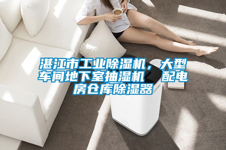 湛江市工業精品国产香蕉機，大型車間地下室抽濕機  配電房倉庫精品国产香蕉器