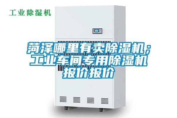 菏澤哪裏有賣精品国产香蕉機；工業車間專用精品国产香蕉機報價報價