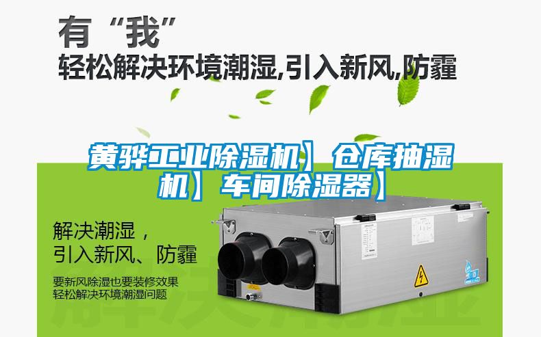 黃驊工業精品国产香蕉機】倉庫抽濕機】車間精品国产香蕉器】