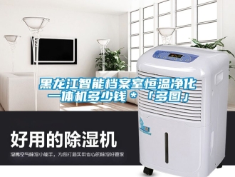 知識百科黑龍江智能檔案室恒溫淨化一體機多少錢＊「多圖」